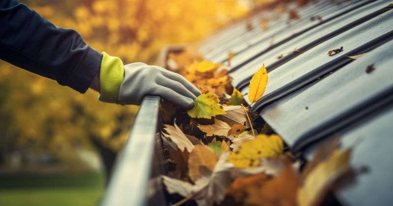Fall Siding Maintenance